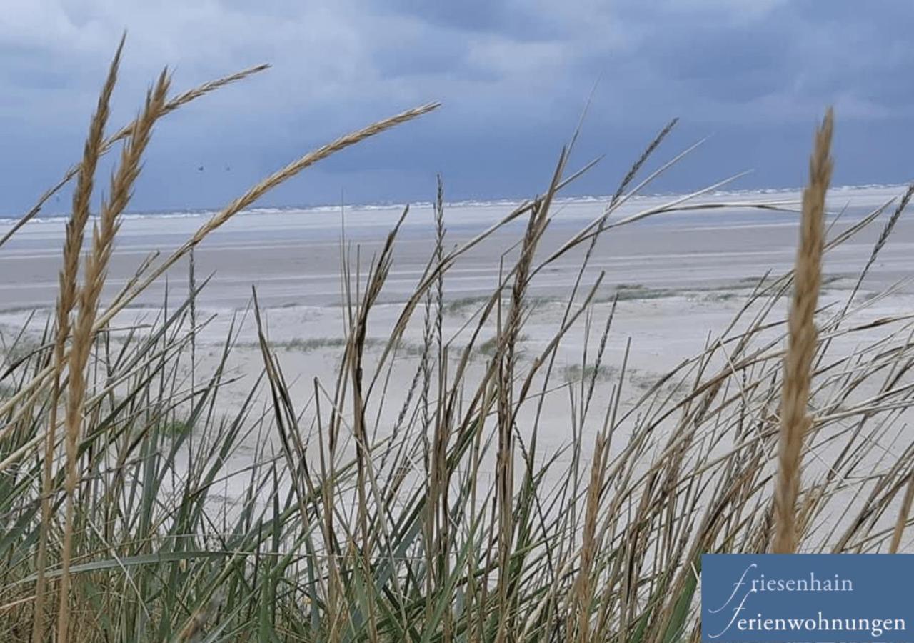 Friesenhain Ferienwohnungen Sankt Peter-Ording Exterior photo